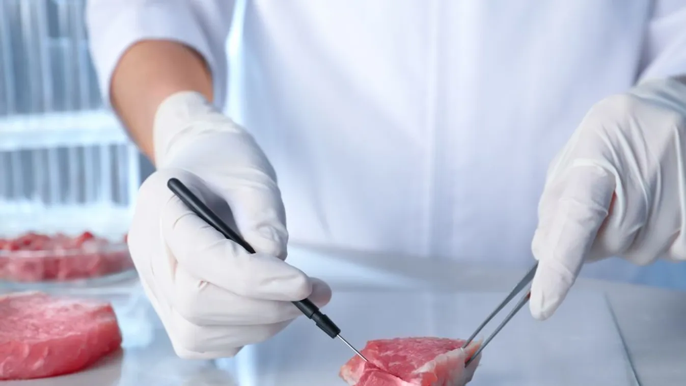 A világon elsőként engedélyezték mesterséges csirkehús értékesítését