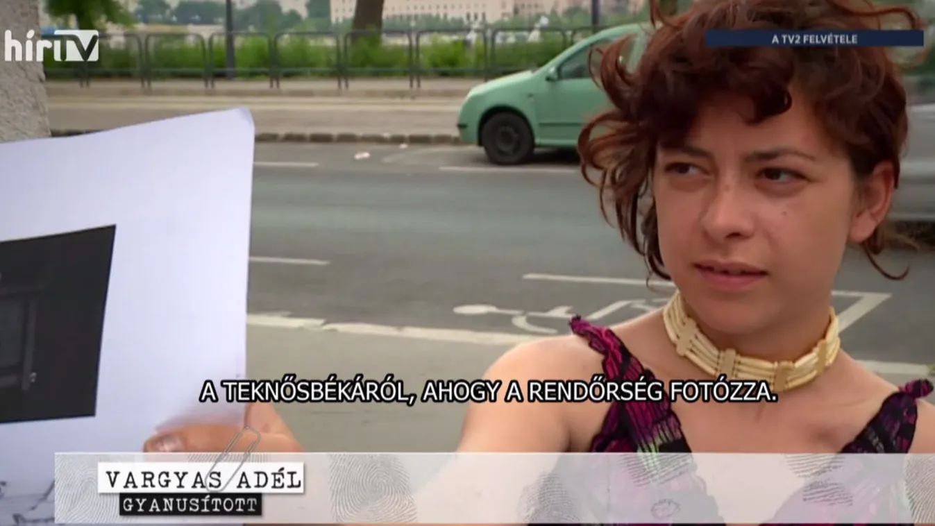 Riasztás: Figyelemre vágyott a teknőst agyonverő nő