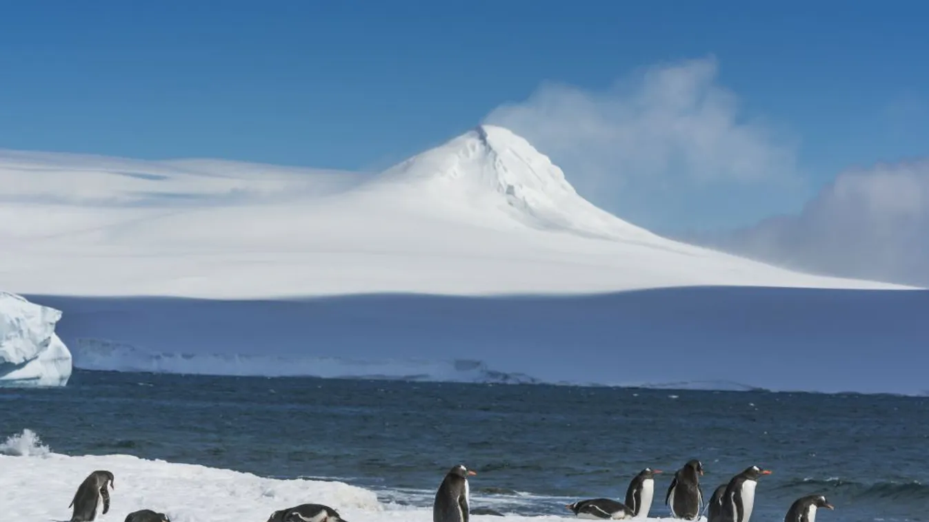 Az Antarktisz az egyetlen újkoronavírus-mentes kontinens