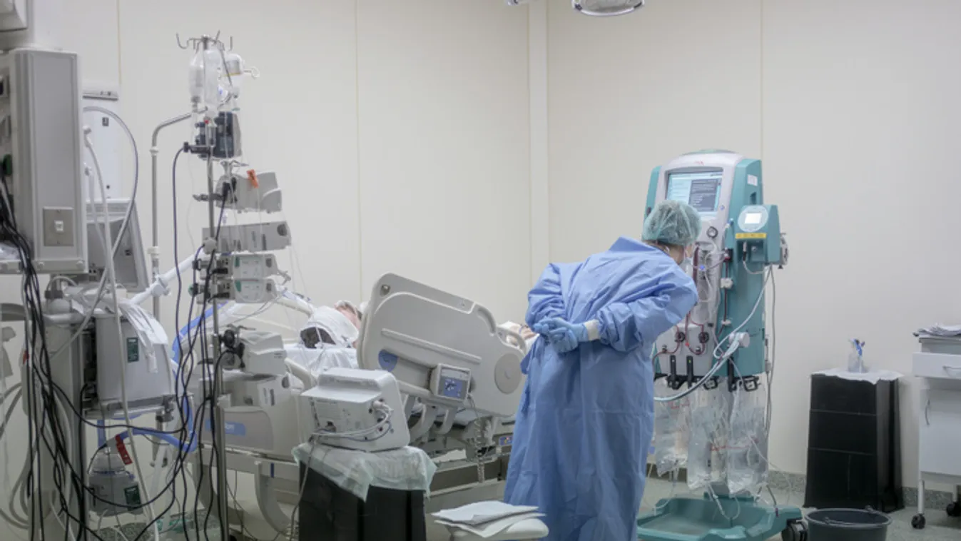 Átadták a 40. Magyar Sajtófotó Pályázat díjait