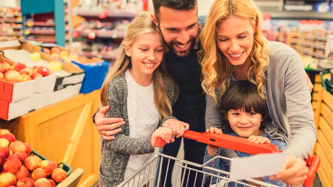 Felkészülés – Magyarország élőben