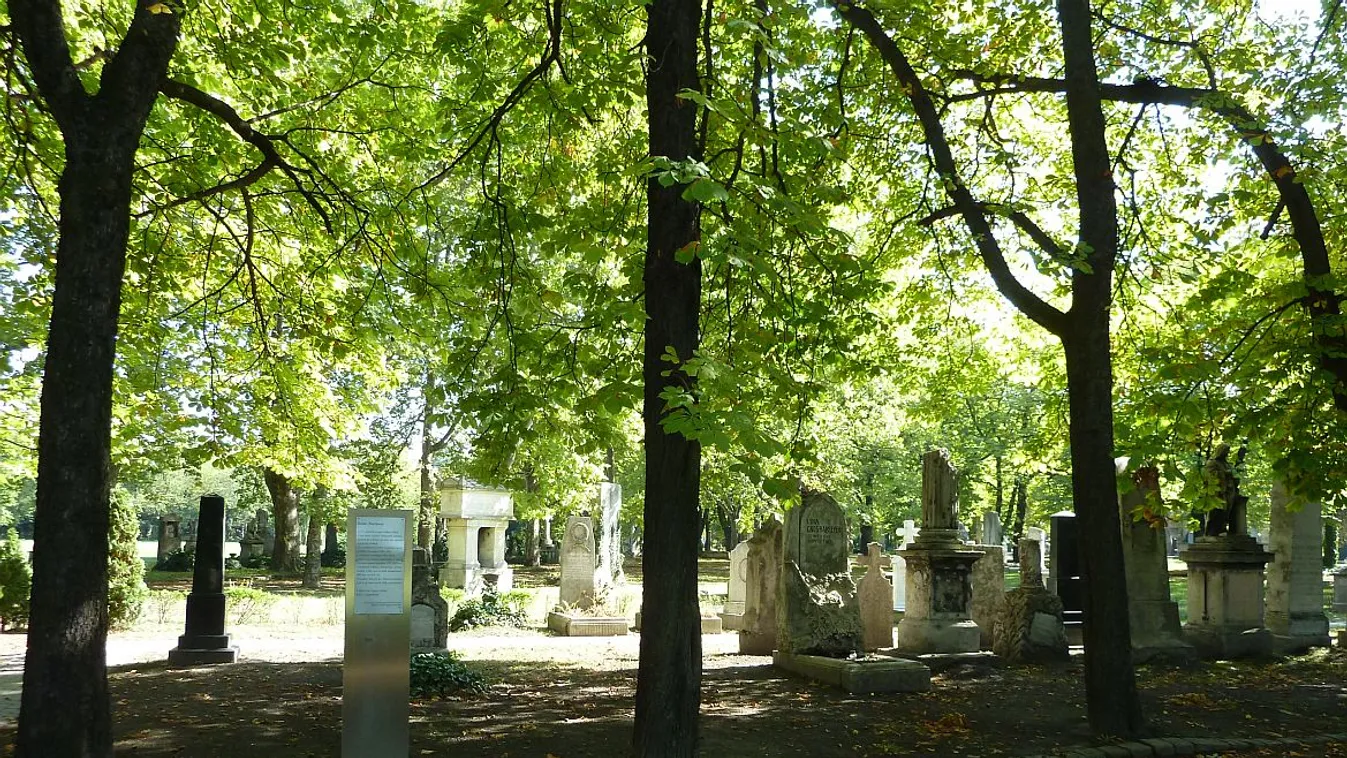 A nemzet művészei közt fog nyugodni Andy Vajna