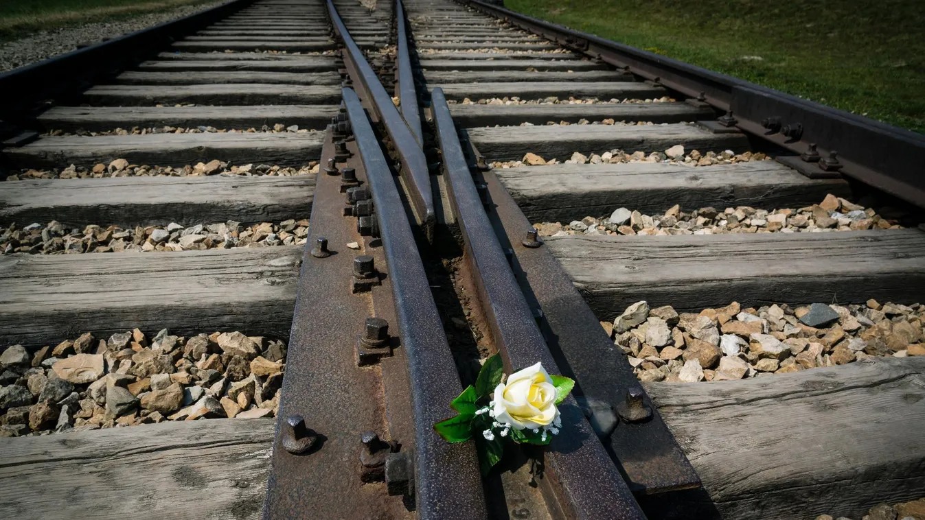 Halálos vonatgázolás történt az oroszlányi vonalon