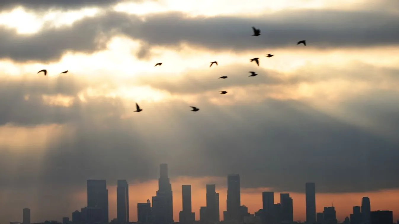 Los Angeles – Garázs