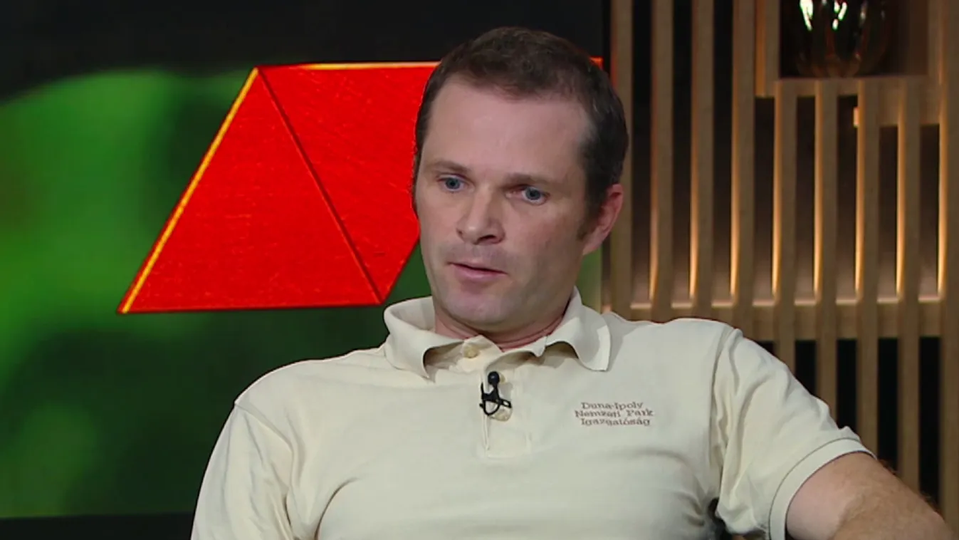 Mozaik - A tölgy - Az erdő szíve