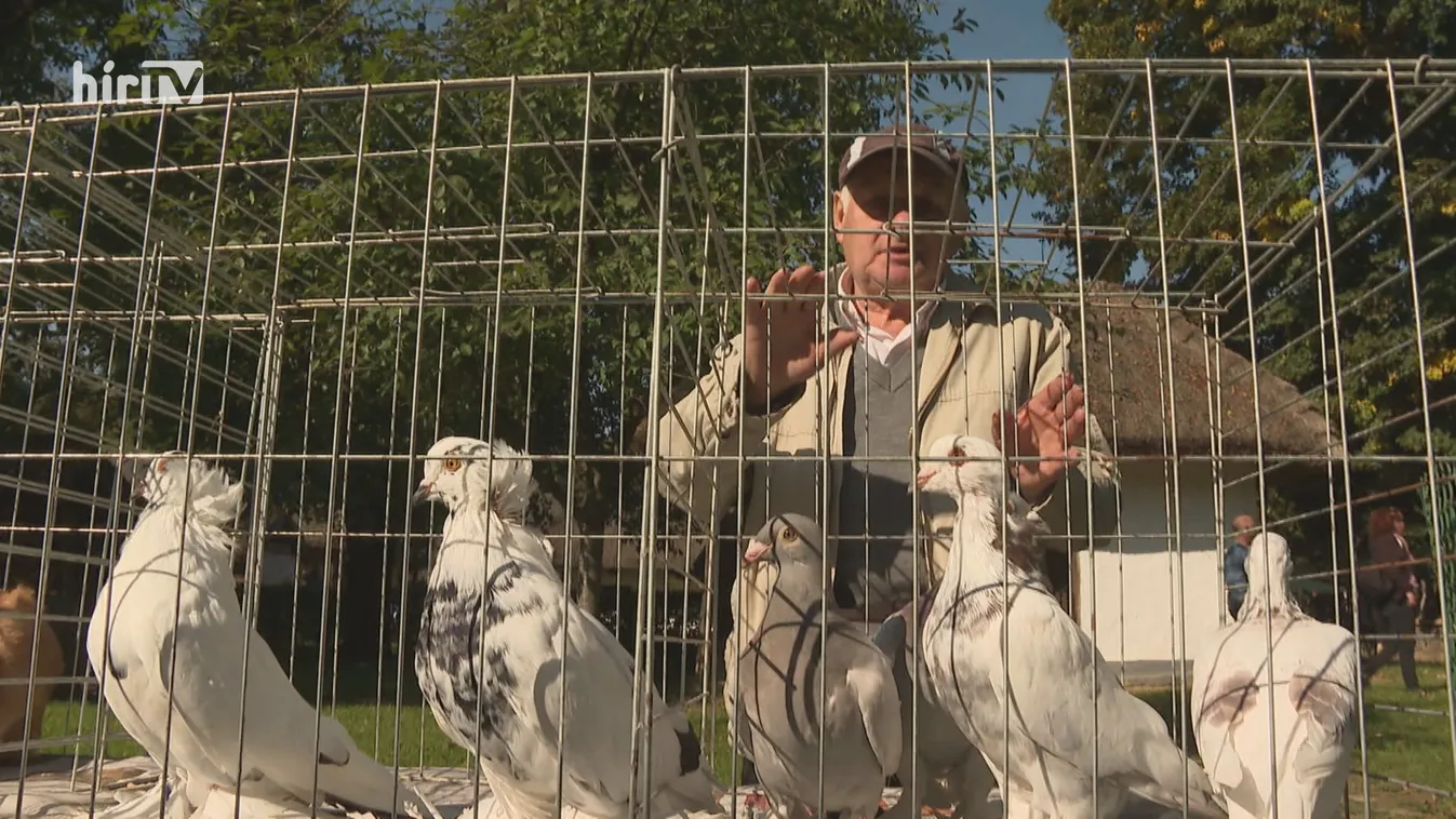 Az állatoké volt a főszerep a zalaegerszegi Göcseji Falumúzeumban