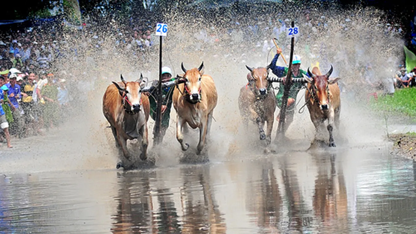 Nyár végi fesztiválok – Felfedező