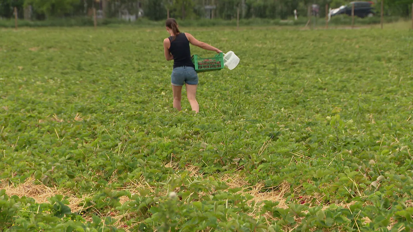 Megtiltják a földadót