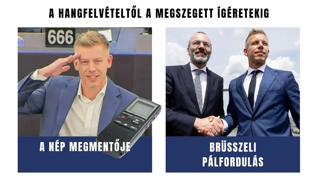 Az árulás anatómiája: Hogyan lett a családi bizalom elárulása a Tisza Párt politikai programja?