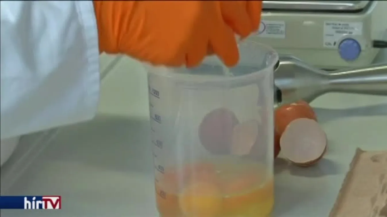 „Tojáscsúcsot” hív össze Brüsszel