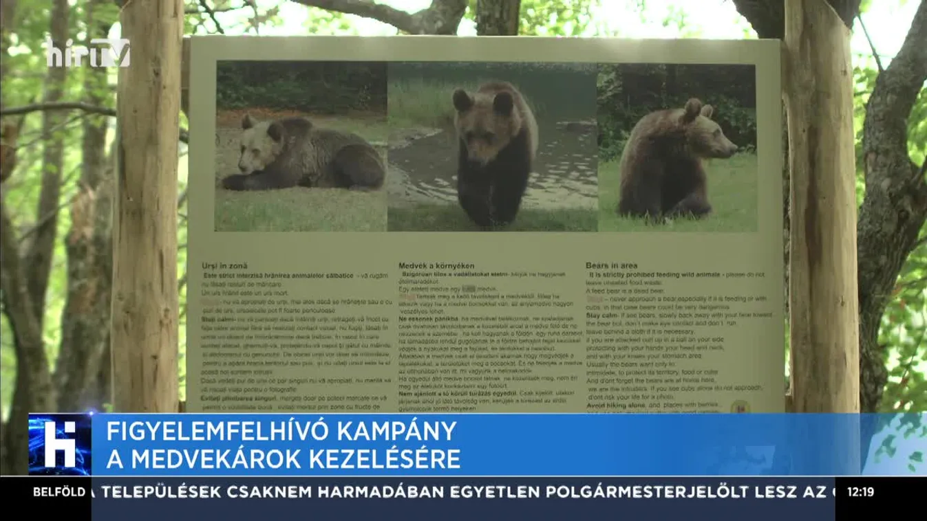 Figyelemfelhívó kampány a medvekárok kezelésére