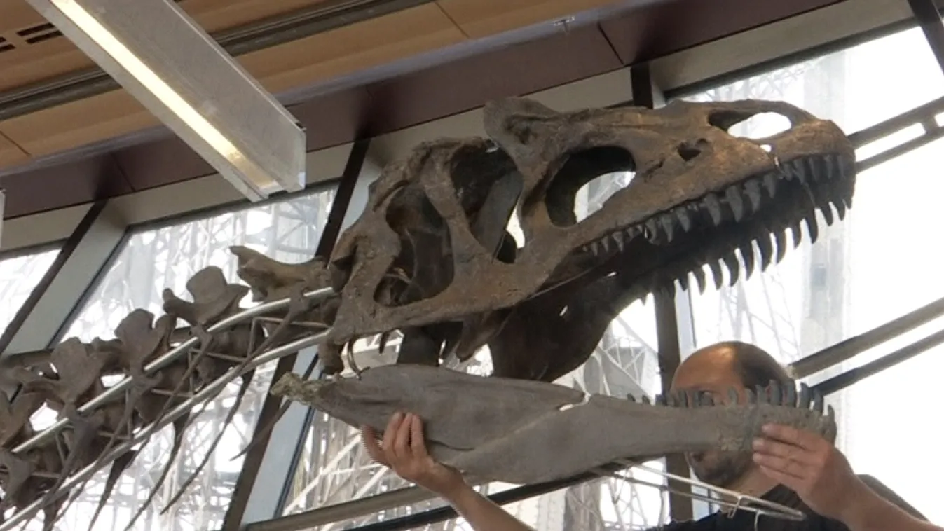 Kb. félmilliárdért nem csak az Öné lehet, el is nevezheti