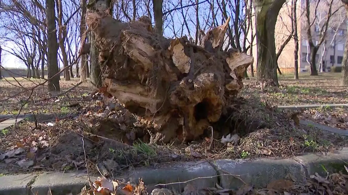 Megközelíthetik az egymilliárd forintot a hétvégi viharok miatti károk