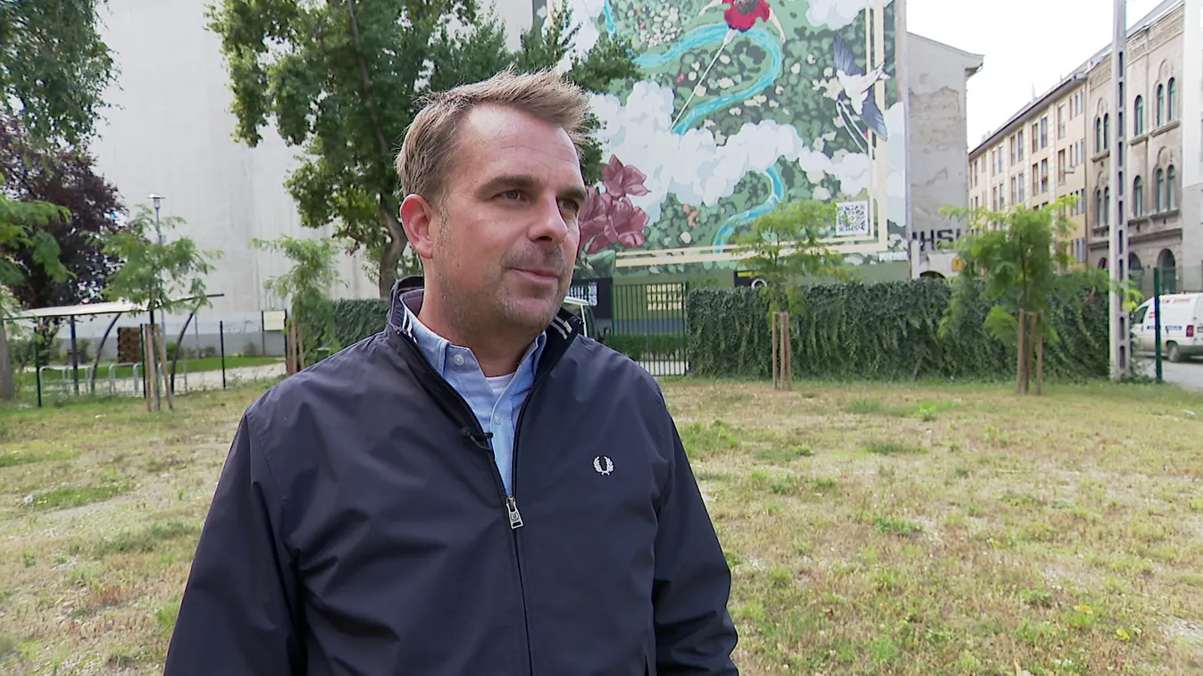 Radar: Levegőtisztító graffiti