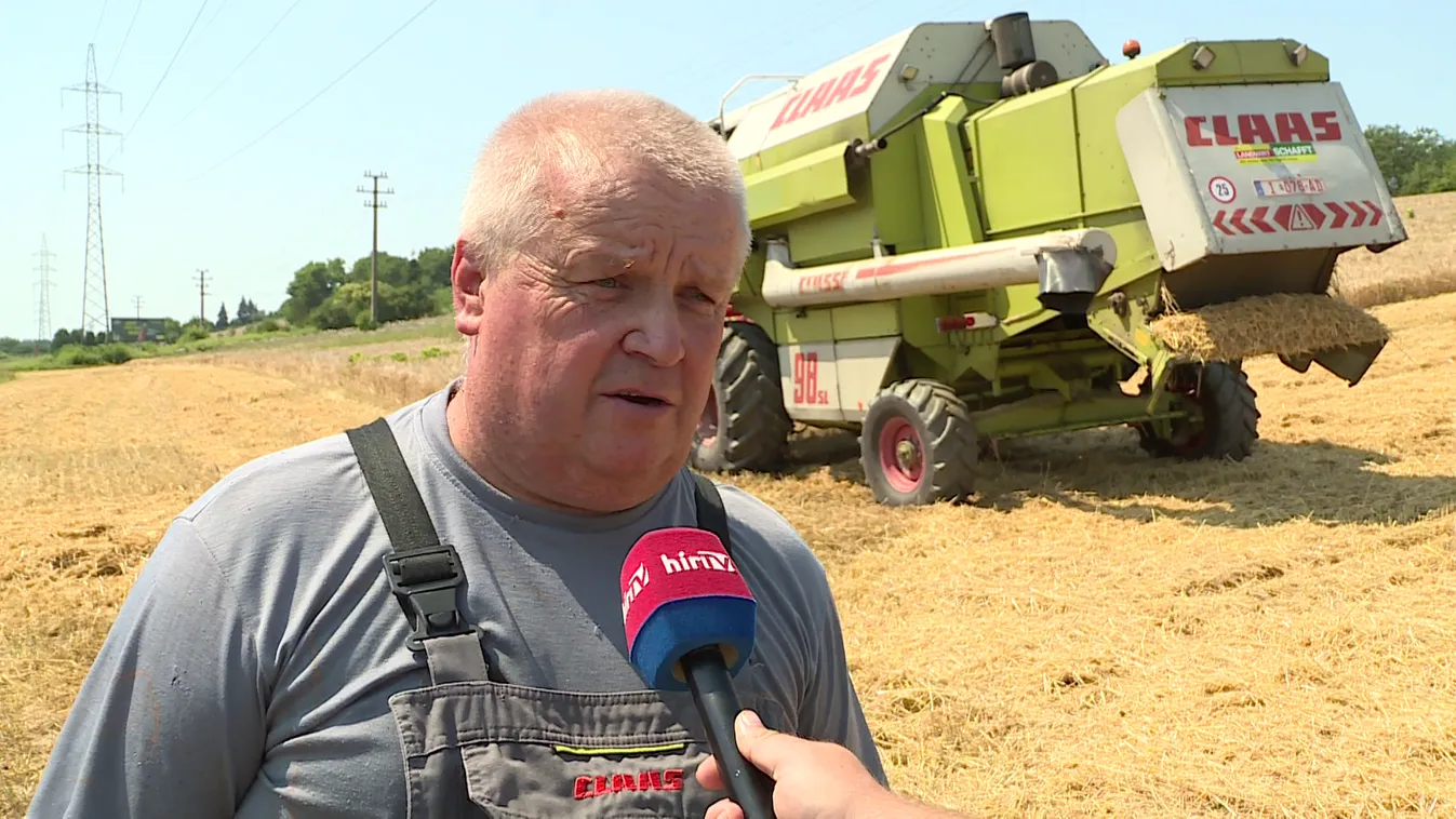 A termés mennyisége és minősége egyaránt rosszabb lett a vártnál