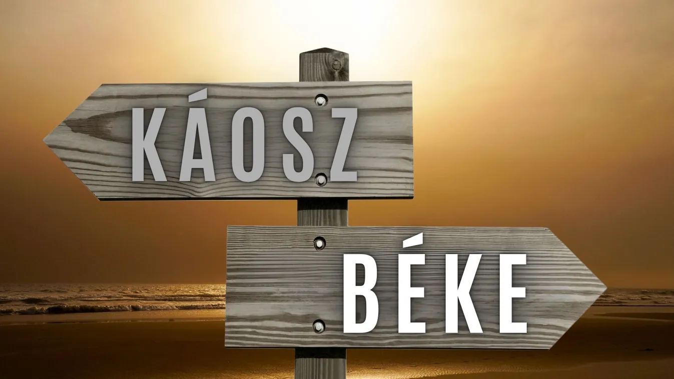 Államférfi a globális sakktáblán, vagy tünet a nemzeti tébolydában? – A két valóság anatómiája