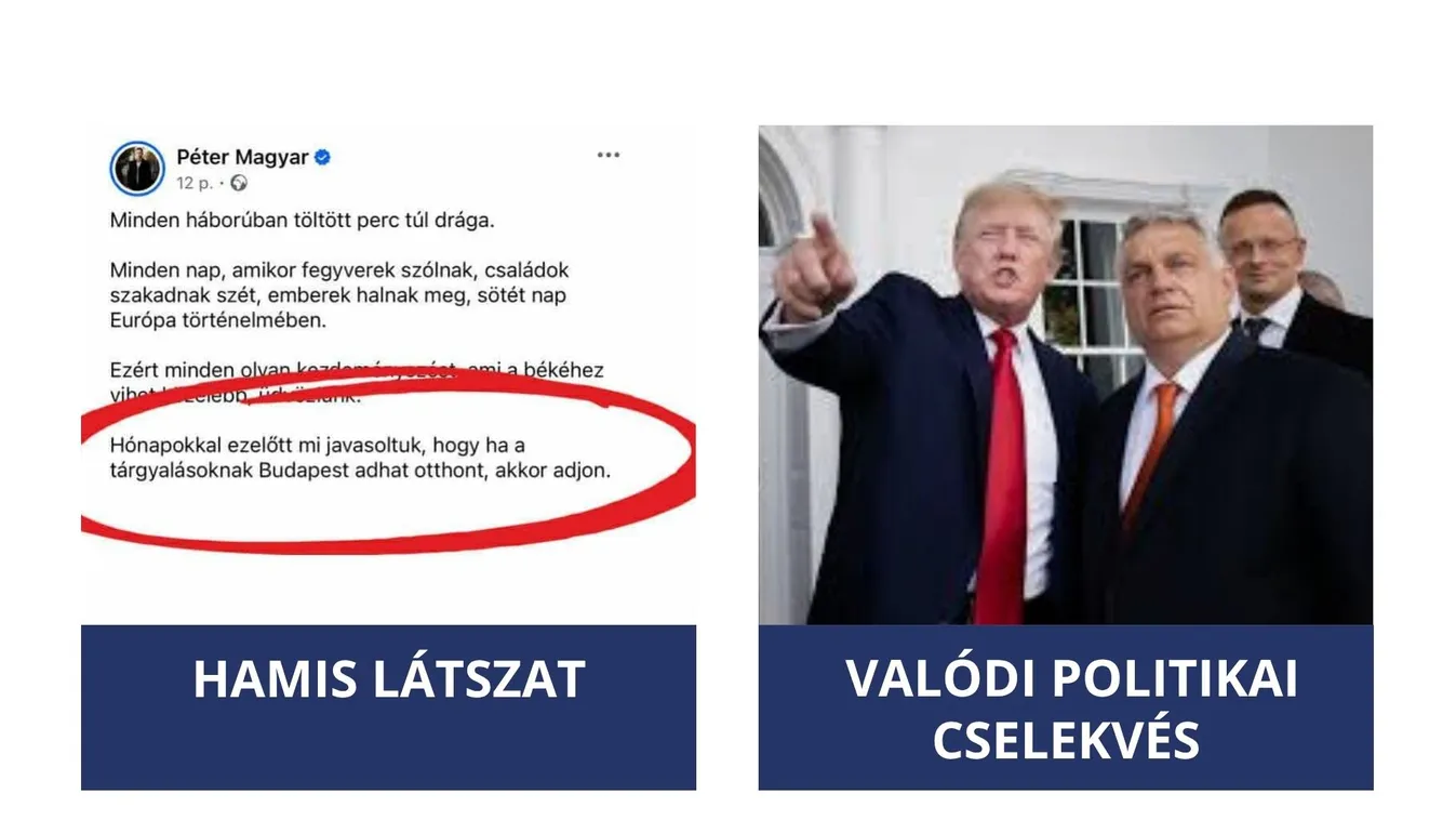 Politikai amnézia vagy mentális betegség? Magyar Péter legújabb harca a Google és a józan ész ellen