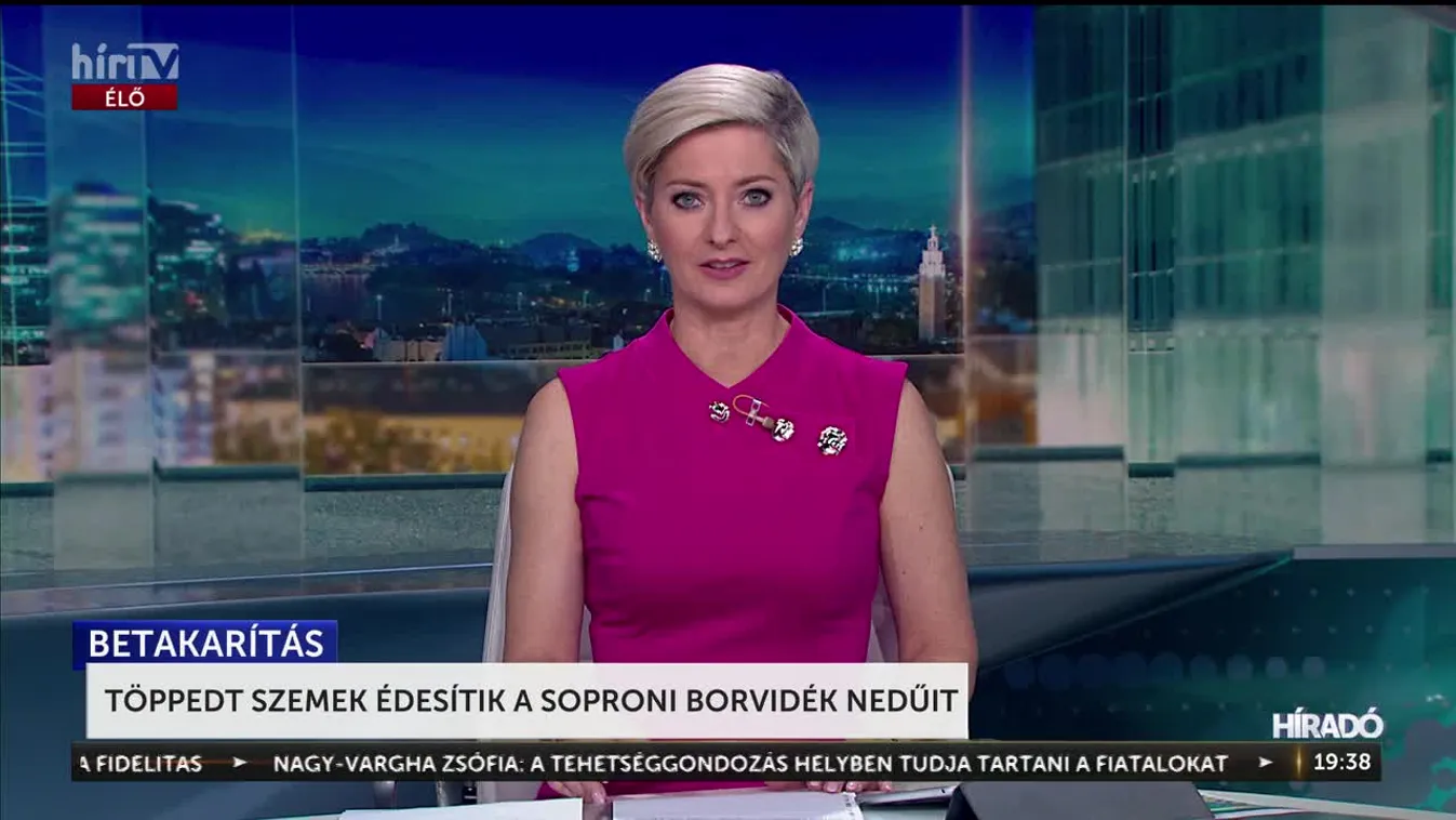 TÖPPEDT SZEMEK ÉDESÍTIK A SOPRONI BORVIDÉK NEDŰIT