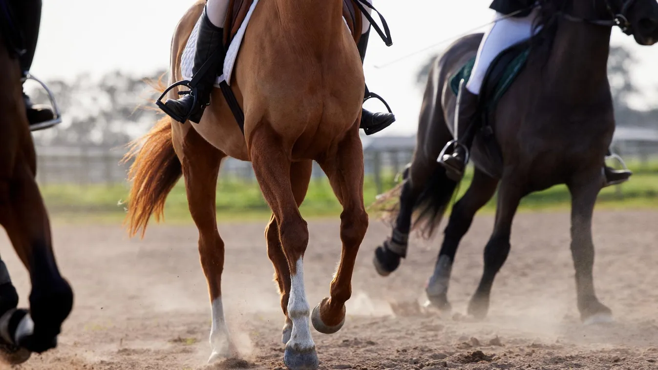 Nemzeti Vágta - Ácsi versenyző végzett az élen a gyenesdiási Festetics elővágtán