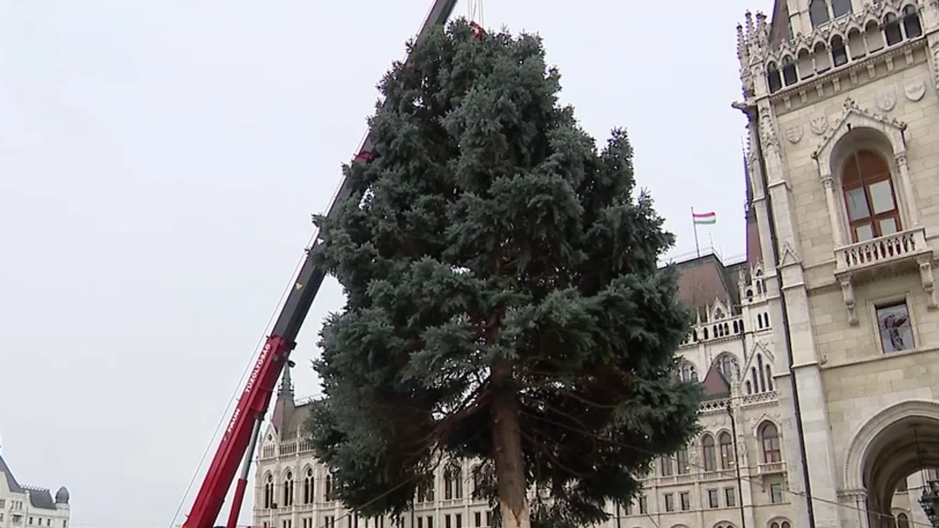 Radar – Megérkezett a Kossuth térre az ország karácsonyfája  + videó