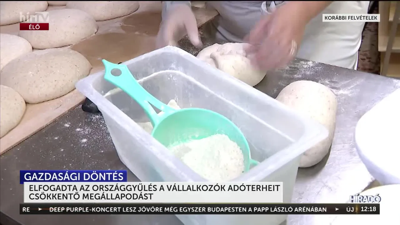 Elfogadta az Országgyűlés a vállalkozók adóterheit csökkentő megállapodást