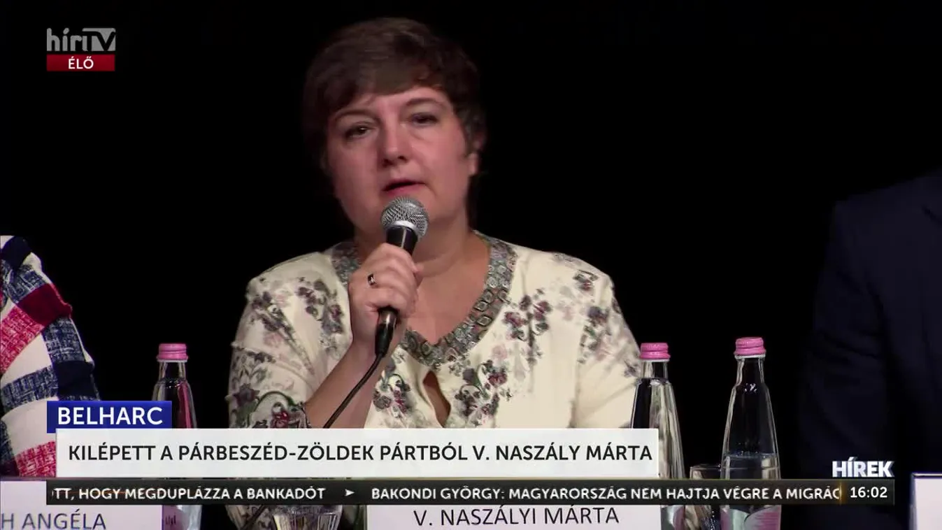 Kilépett a Párbeszéd-Zöldek pártból V. Naszályi Márta