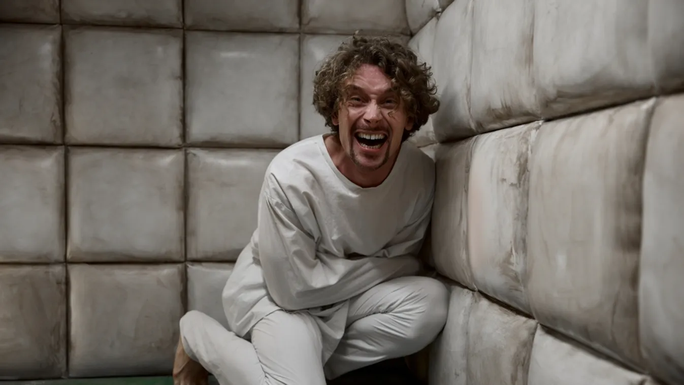 Erőszakos téveszmék hatására készült gyilkolni, zártosztályra került