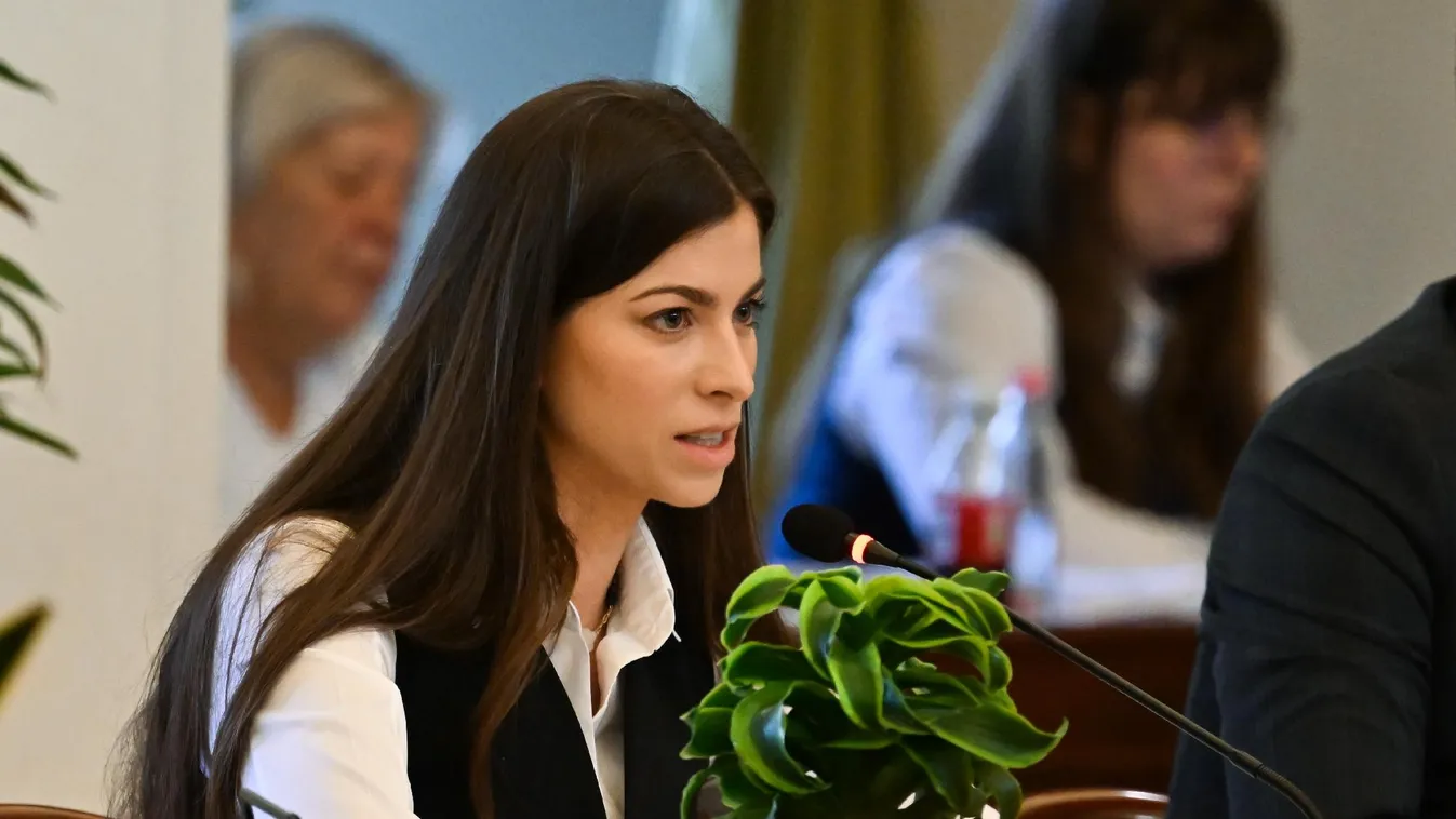 Elsőrangú nemzeti érdeknek nevezte Ukrajna uniós csatlakozását a főpolgármester  + videó