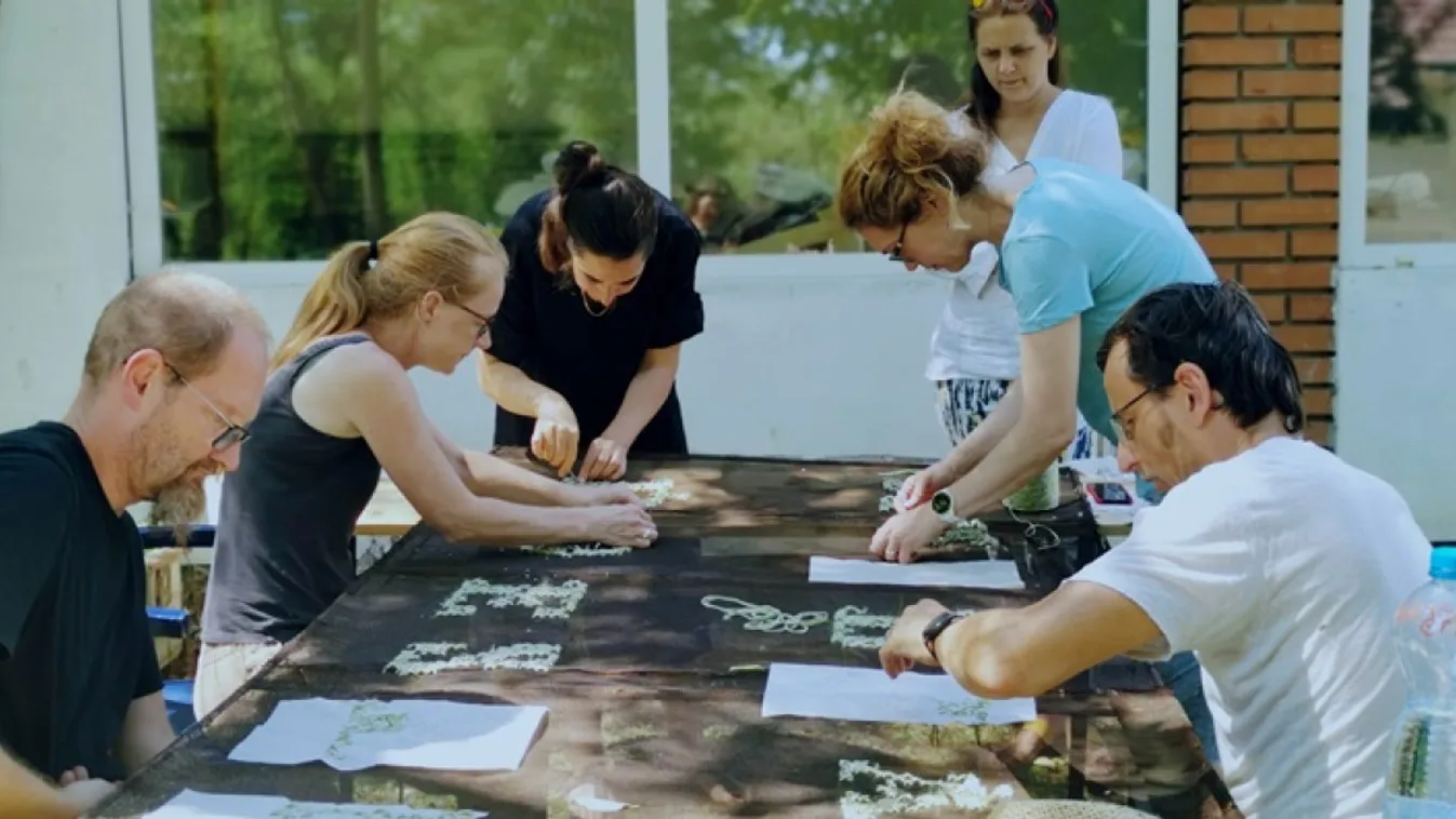 ArtPiknikkel ünnepel az idén 30 éves Ceredi Művésztelep