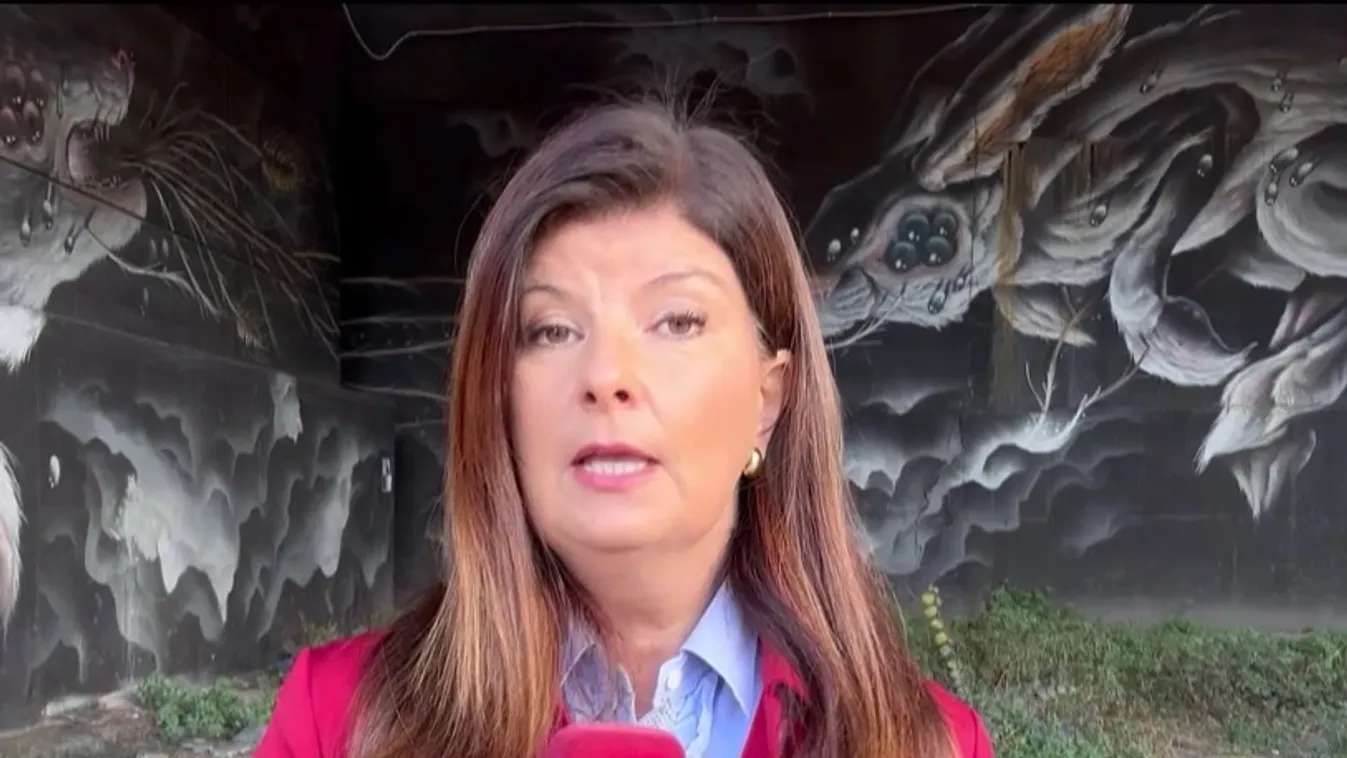 Milánóban nagyon magas a kiskorúak által elkövetett késelések száma  + videó