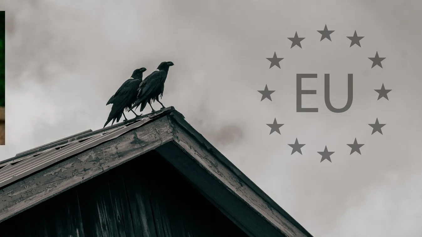 Brüsszel receptje a katasztrófához: Útmutató Európa szisztematikus lerombolásához