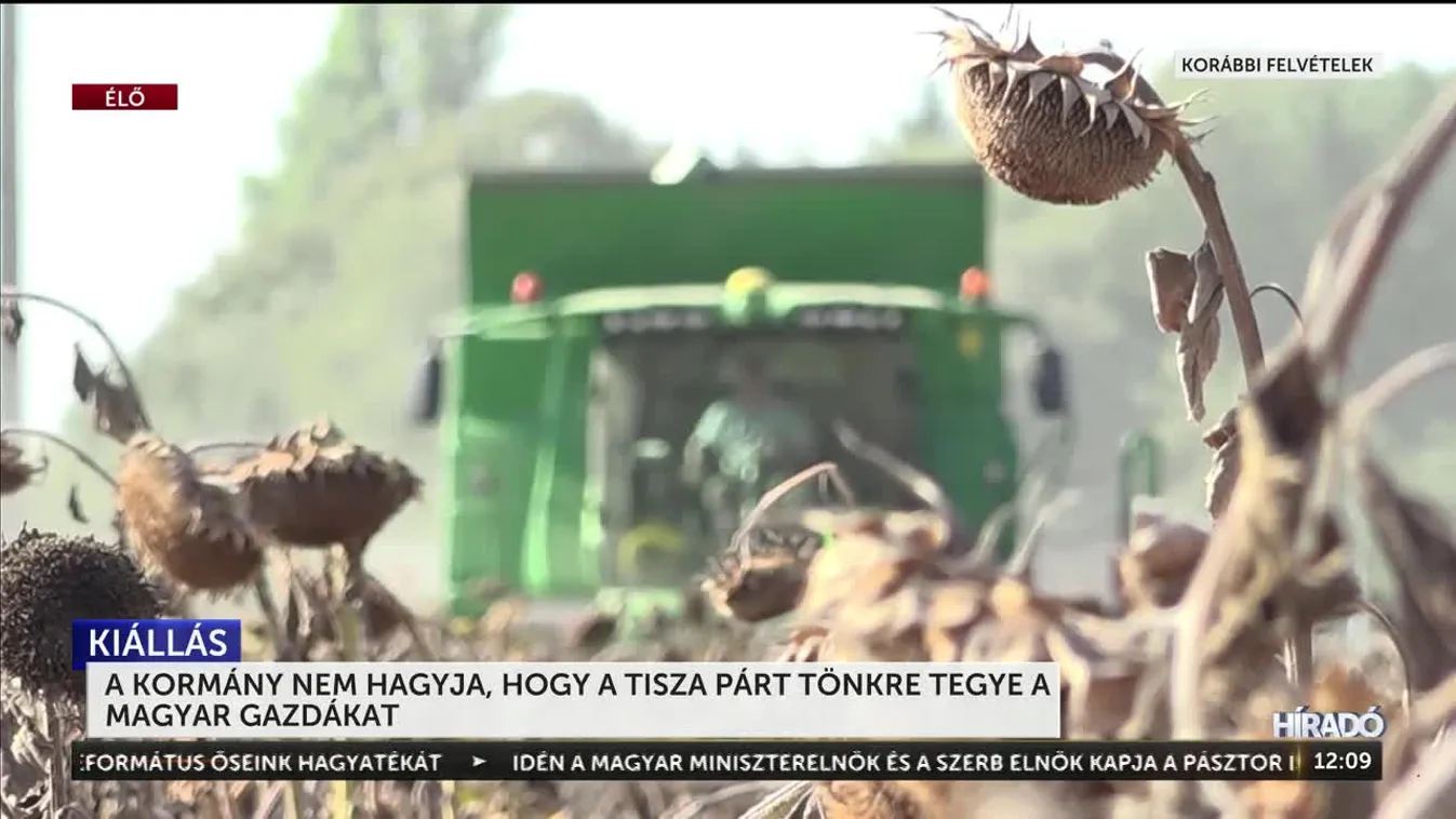 Nem vagyunk kísérleti nyulak! A Fidesz kiakadt a Tisza GMO-s ukrán tervein + videó