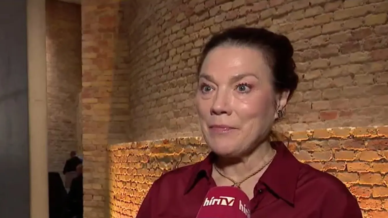 Napindító – Ünnepi varázs a Budavári Palotanegyedben + videó