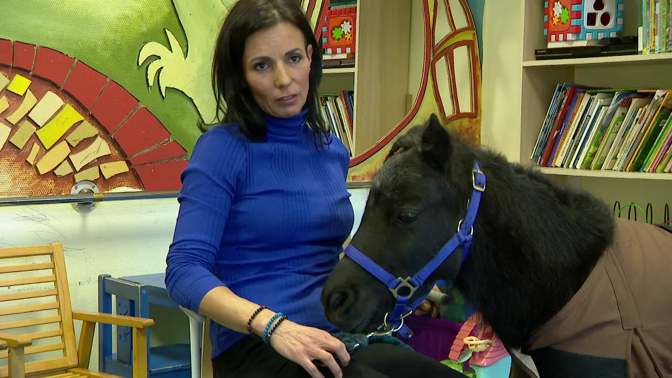 Vertigo, a gyógyító mini ló: Négylábú terapeuta a Bethesda Gyermekkórházban + videó