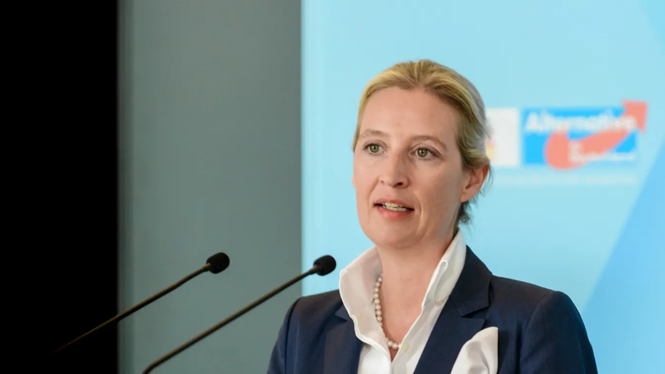 Határozott álláspont + videó