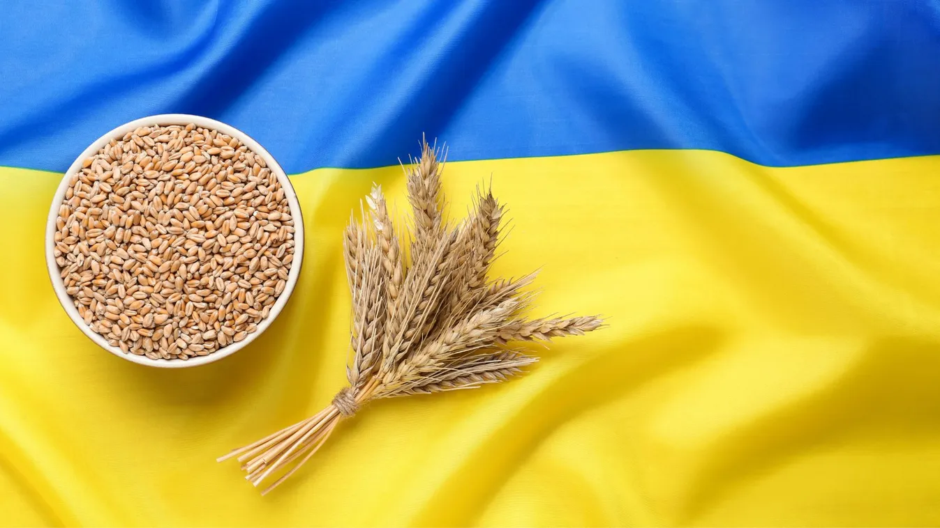 Agráratombomba: Tarr Zoltán szerint ne versenyezzünk Ukrajnával, a magyar gazdák rosszul csinálják + videó