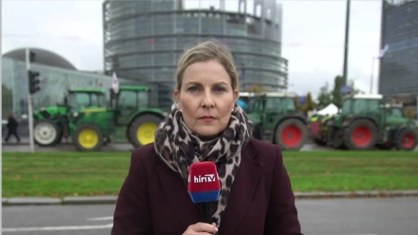 Jelentős megmozdulást szerveztek az európai gazdák a strasbourgi Európai Parlament épülete elé + videó