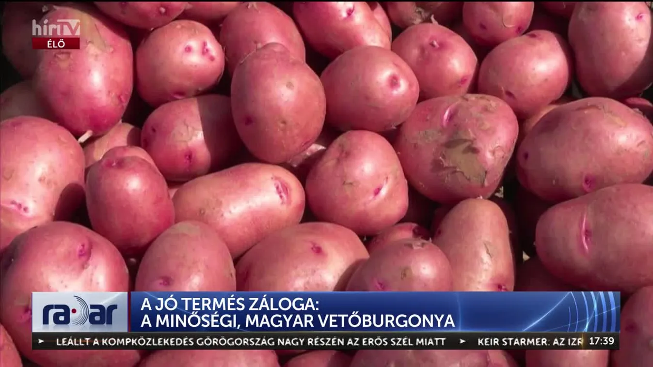 Radar - Hazai nemesítésű kiváló burgonyafajták + videó