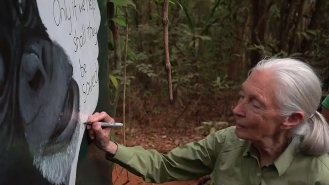 Radar – 91 éves korában elhunyt Jane Goodall  + videó