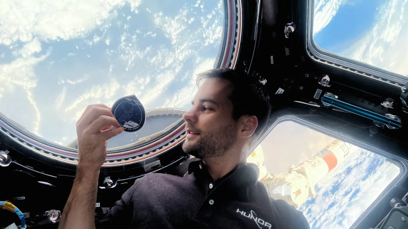 Kapu Tibor „űrbúzát” csíráztatott