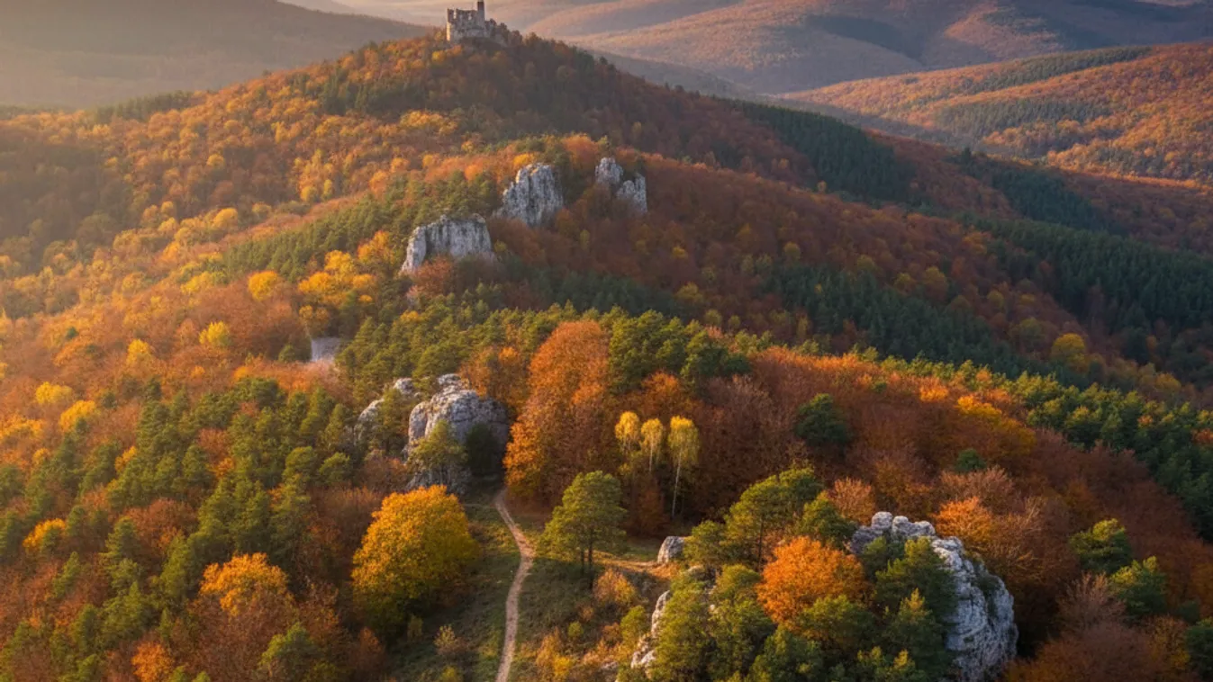 Mentésre volt szükség a Vértesben