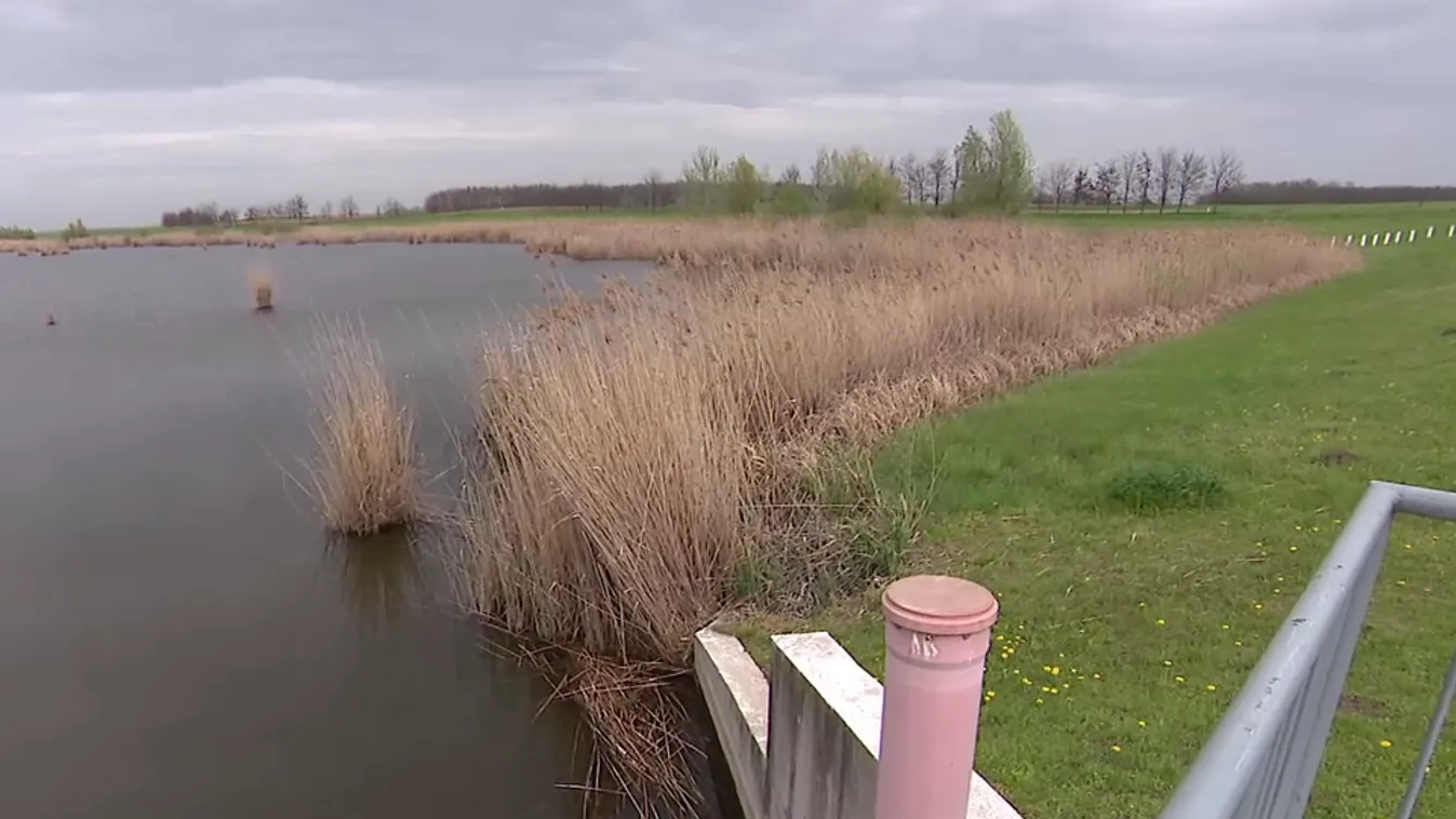 Napindító – Küzdelem a Homokhátság elsivatagodása ellen + videó