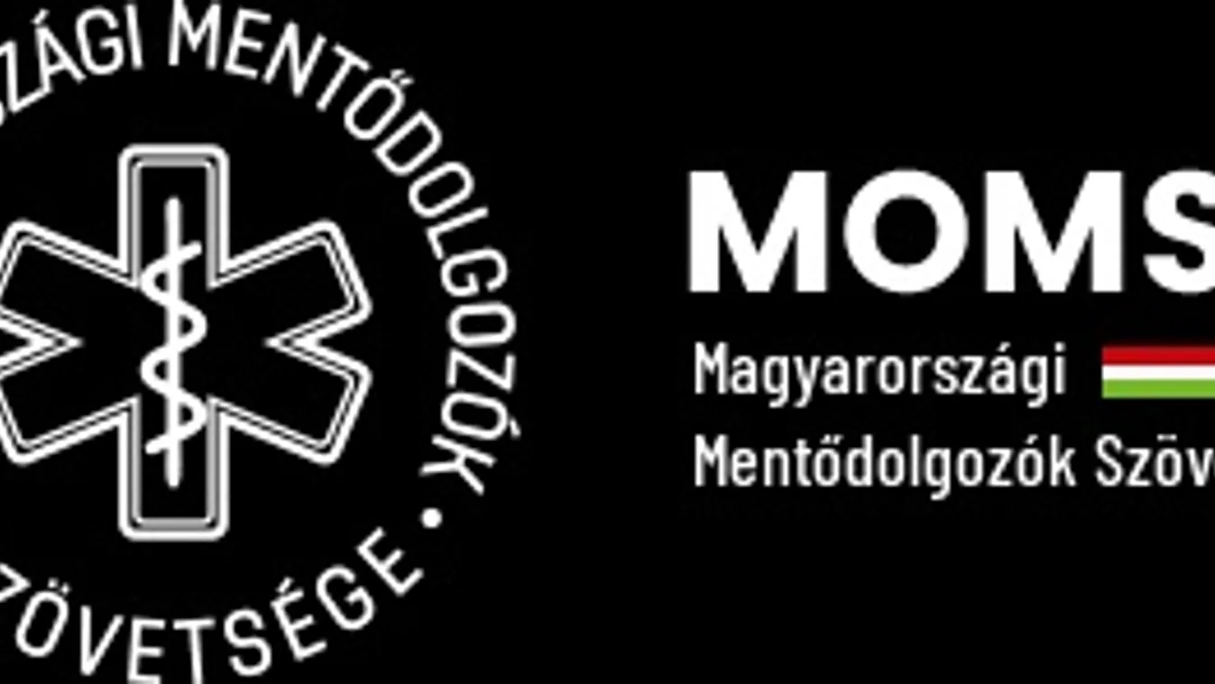 Dunába vetette magát az esztergomi mentőállomás vezetője – keresése még tart