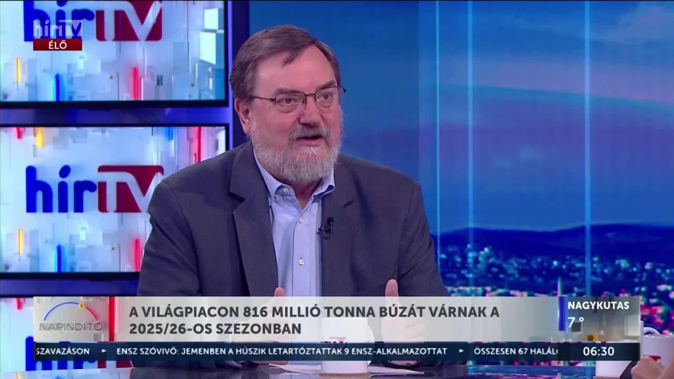 NAPINDÍTÓ! Stabilizálódik a BÚZA PIAC: 816 millió tonnát vár a világ! + videó