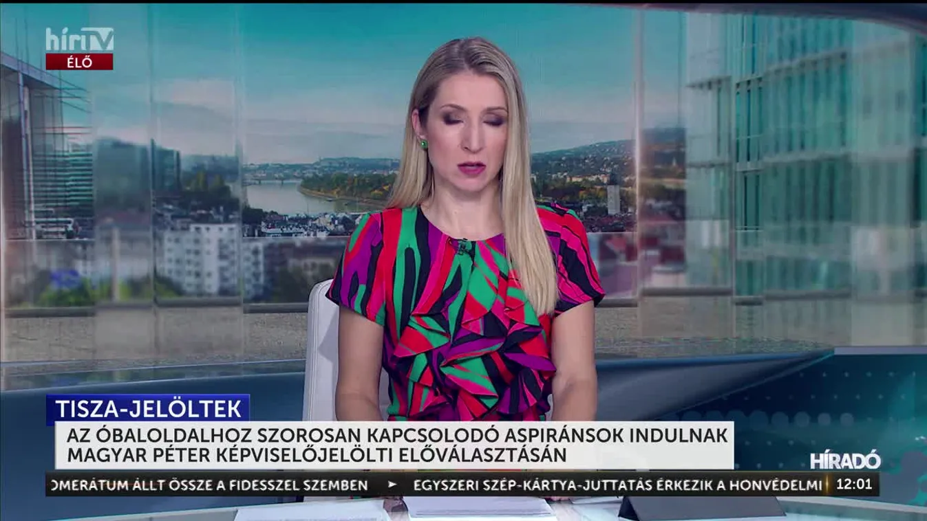 AZ ÓBALOLDALHOZ SZOROSAN KAPCSOLODÓ ASPIRÁSNOK INDULNAK MAGYAR PÉTER KÉPVISELŐJELÖLTI ELŐVÁLASZTÁSÁN