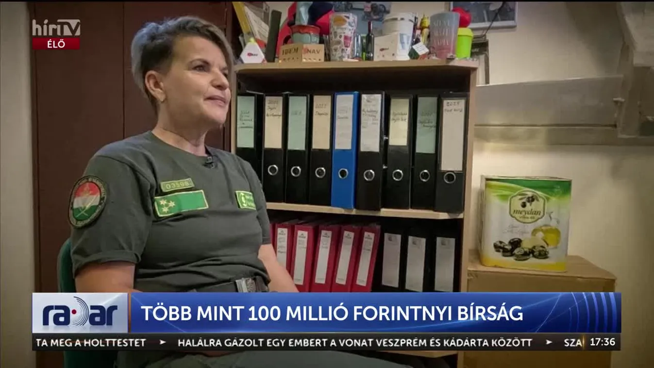 A nagy uborkás cigicsempészet: A NAV lecsapott a román családi vállalkozásra