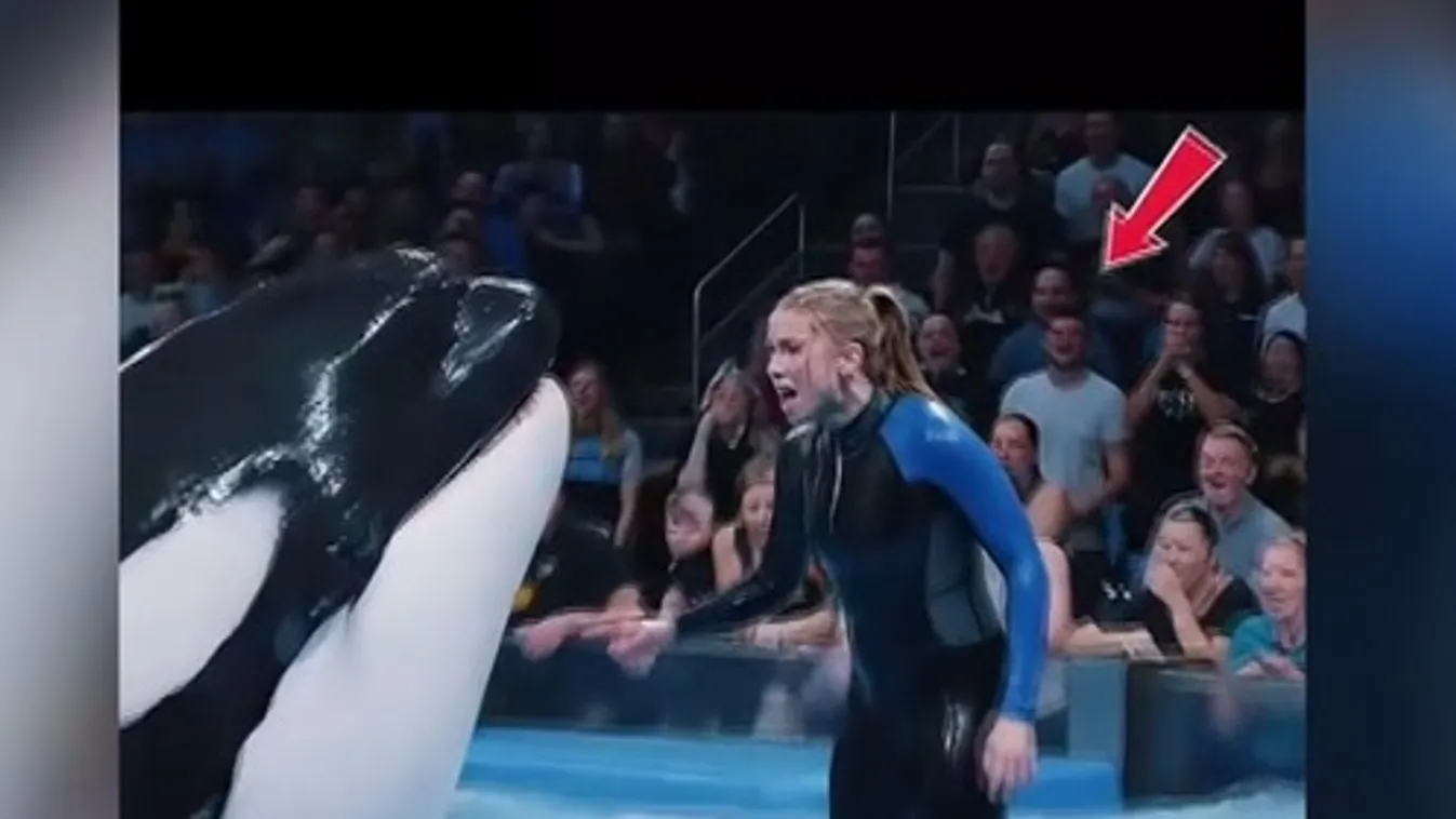 Radar – Igaz vagy hamis? + videó