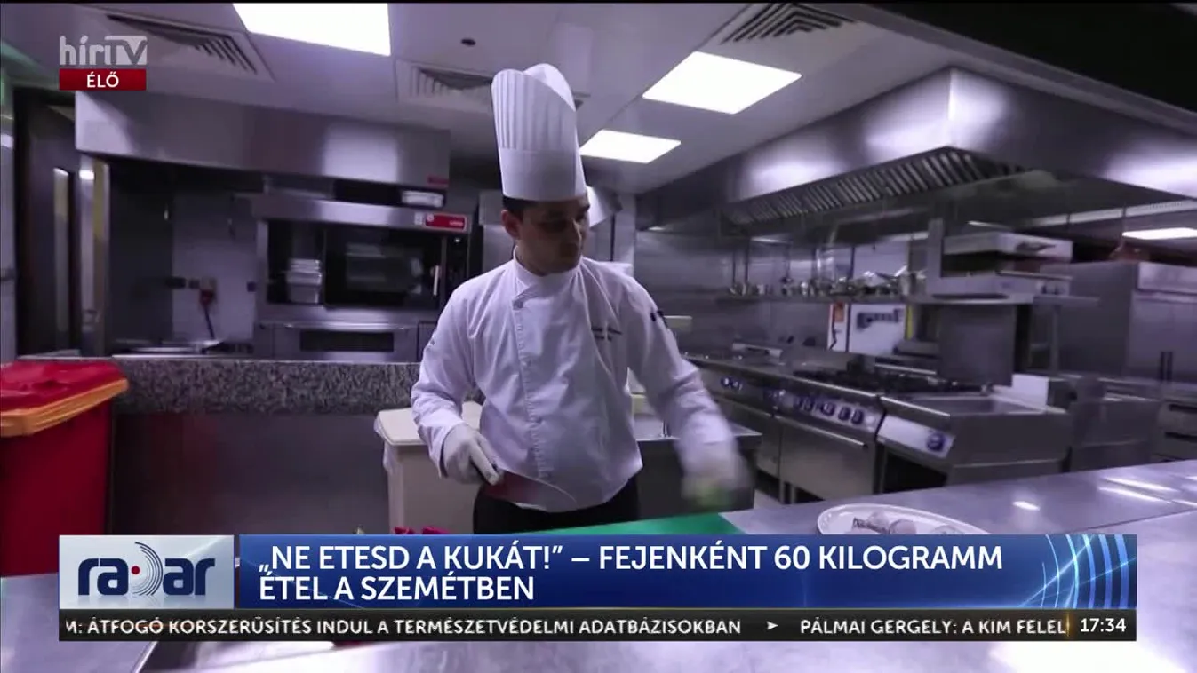Radar - „NE ETESD A KUKÁT!” – FEJENKÉNT 60 KILOGRAMM ÉTEL A SZEMÉTBEN