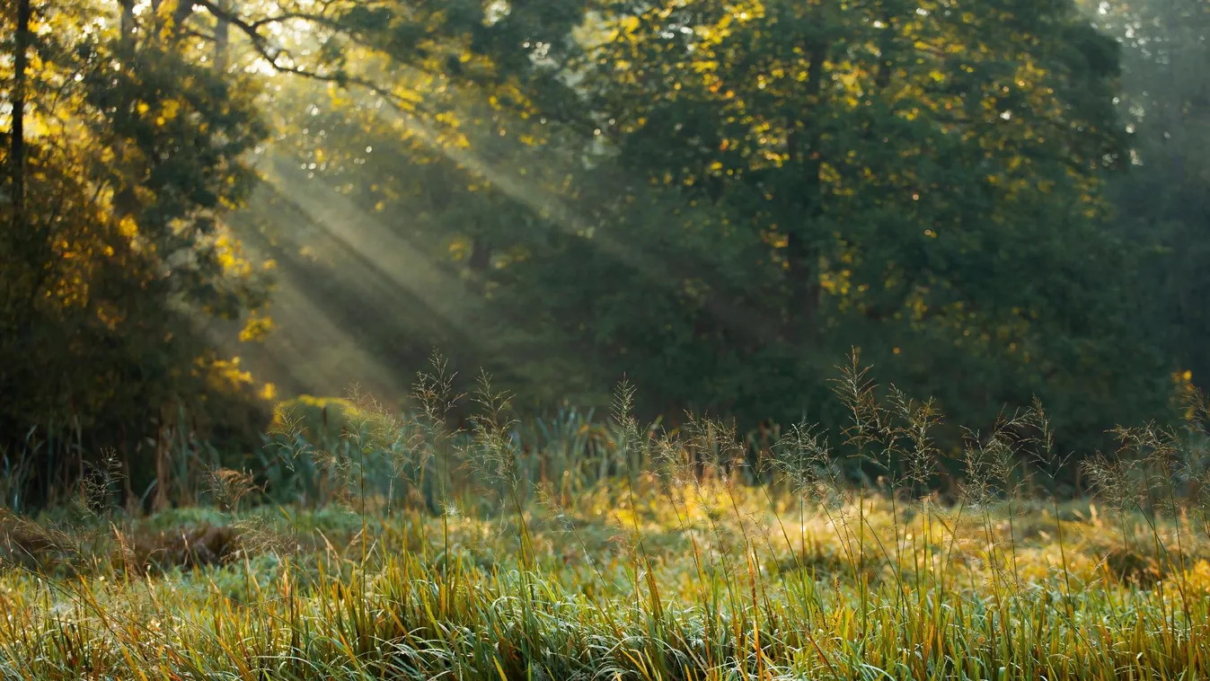 Megdőlt az országos és fővárosi hajnali melegrekord szombaton