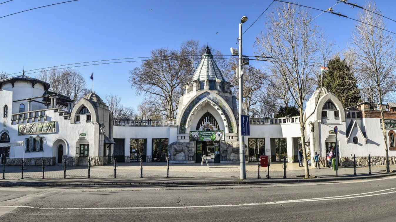 A Fővárosi Állat- és Növénykert különleges épületeit bemutató sétákat tartanak szombaton